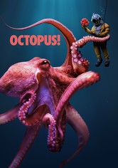 Octopus! - Sezon 1