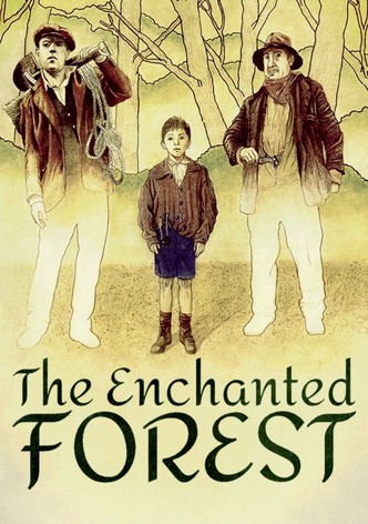 The Enchanted Forest
