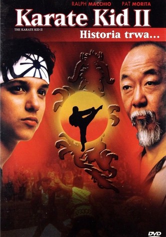Karate Kid 2