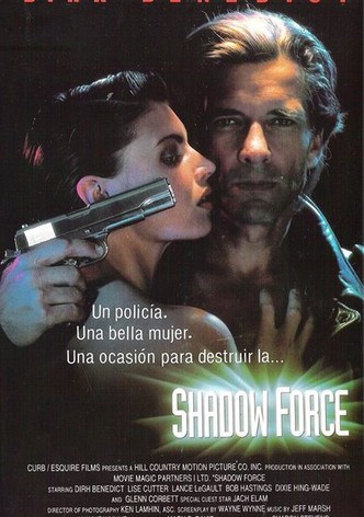 Vengeance de Flic