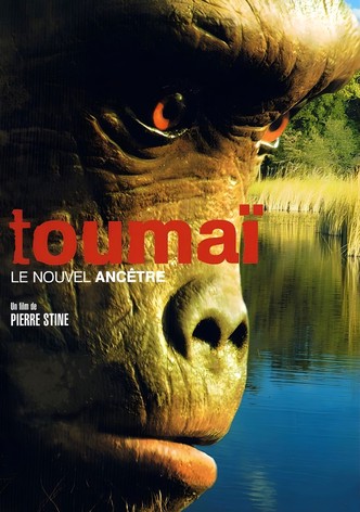 Toumai - Un nouvel ancêtre