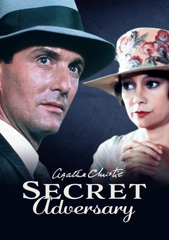 The Secret Adversary