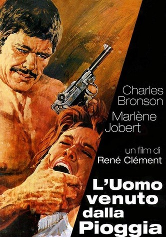 L'uomo venuto dalla pioggia