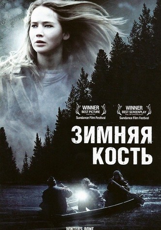 Зимняя кость