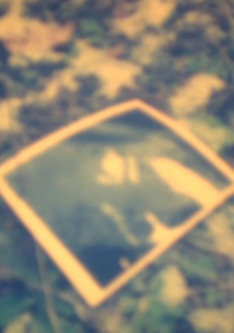 V/M. Releasing