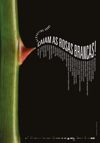Caiam as Rosas Brancas!