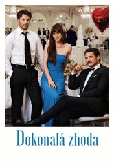 Dokonalá zhoda