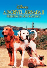 Perdidos em São Francisco