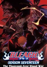 Bleach