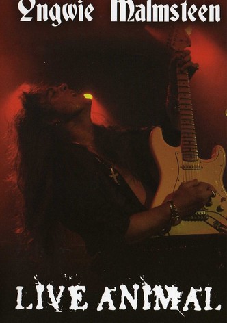 Yngwie Malmsteen: Live Animal