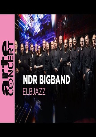 NDR Bigband feat. Lenine & Martin Fondse: The Bridge Elbjazz Festival 2024