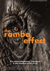 The Ramba Effect