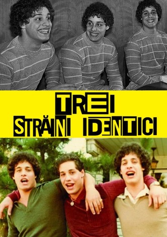 Trei străini identici
