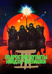 Черепашки-ниндзя 3