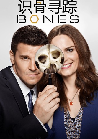 识骨寻踪