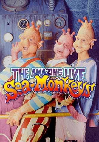 The Amazing Live Sea Monkeys
