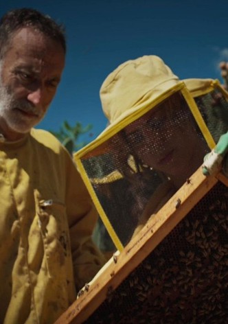 L'energia della creazione