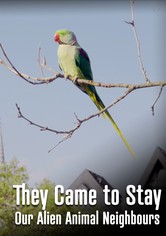 They Came to Stay - Our Alien Animal Neighbours