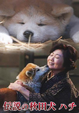 リサラーソン限定秋田犬Akitainu Lisalarsonハチ公hachi リサラーソン