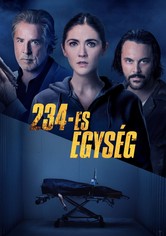 234-es egység