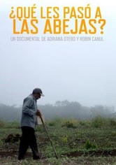 ¿Qué les pasó a las abejas?
