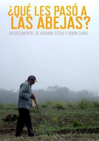 ¿Qué les pasó a las abejas?