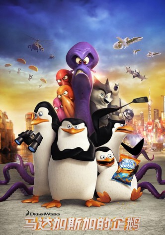 马达加斯加的企鹅