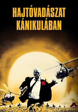 Hajtóvadászat kánikulában