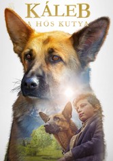Káleb, a hős kutya