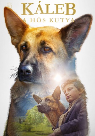 Káleb, a hős kutya