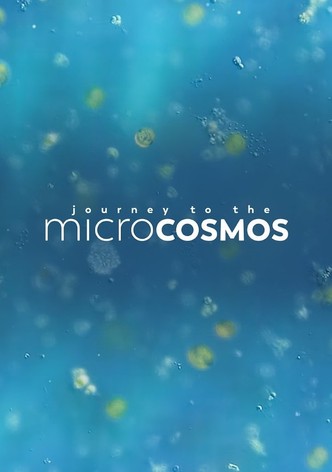 Journey to the Microcosmos