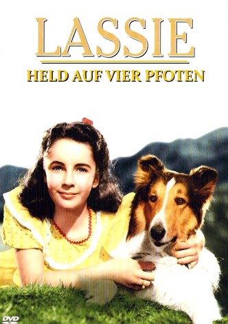 Lassie - Held auf vier Pfoten