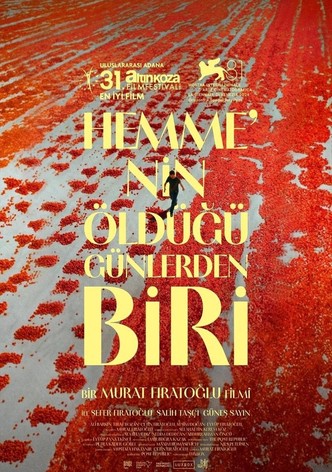 Hemme’nin Öldüğü Günlerden Biri