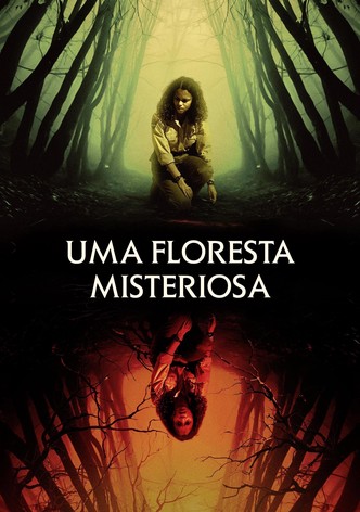 Uma Floresta Misteriosa