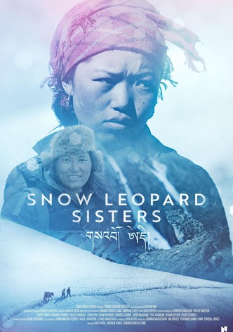 Snow Leopard Sisters