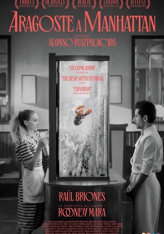 Aragoste a Manhattan