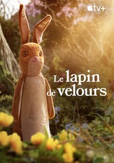 Le Lapin de velours