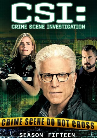 CSI: Crime Scene Investigation Staffel 15