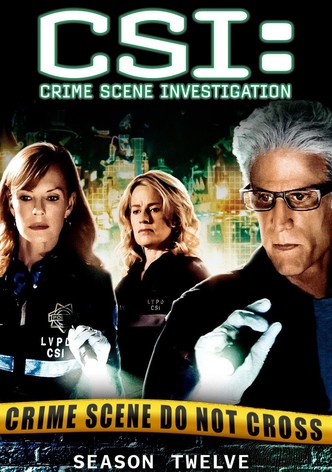 CSI：科学捜査班 TV ドラマ 動画配信 視聴