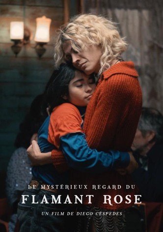 Le Mystérieux regard du flamant rose