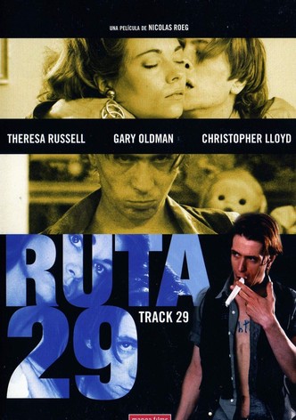 Ruta 29