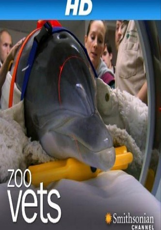 Vétérinaires au zoo