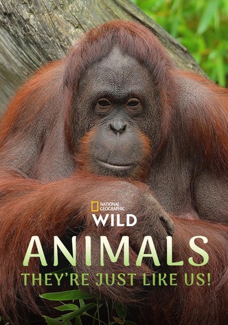 Animals, They're Just Like Us!