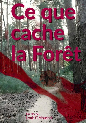 Ce que cache la Forêt