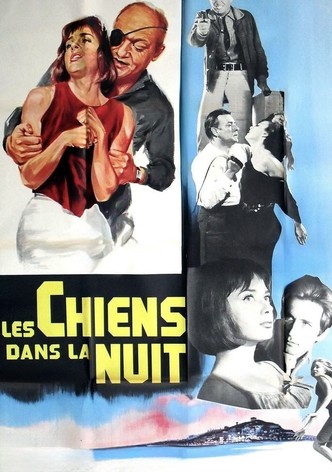 Les chiens dans la nuit