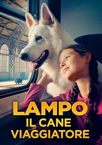 Lampo il cane viaggiatore