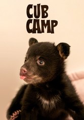 Das Bärencamp - Staffel 1