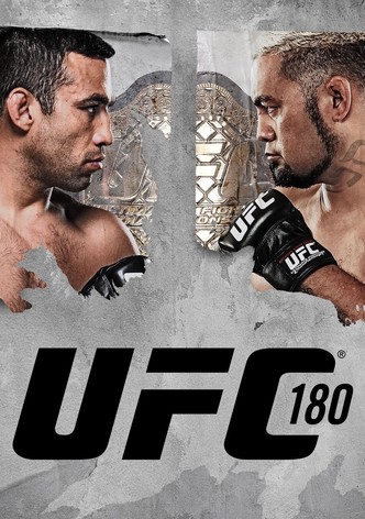 UFC 180: Werdum vs. Hunt