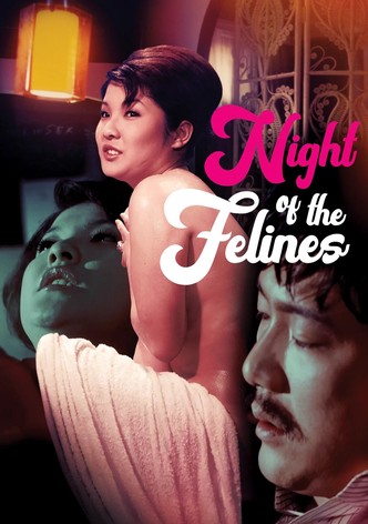 Night of the Felines