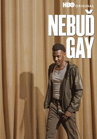 Nebuď gay
